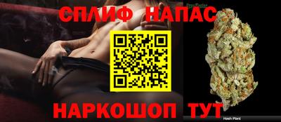 мяу мяу мука Ирбит