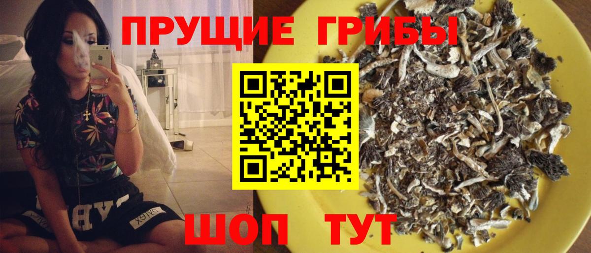 Псилоцибиновые грибы прущие грибы Димитровград