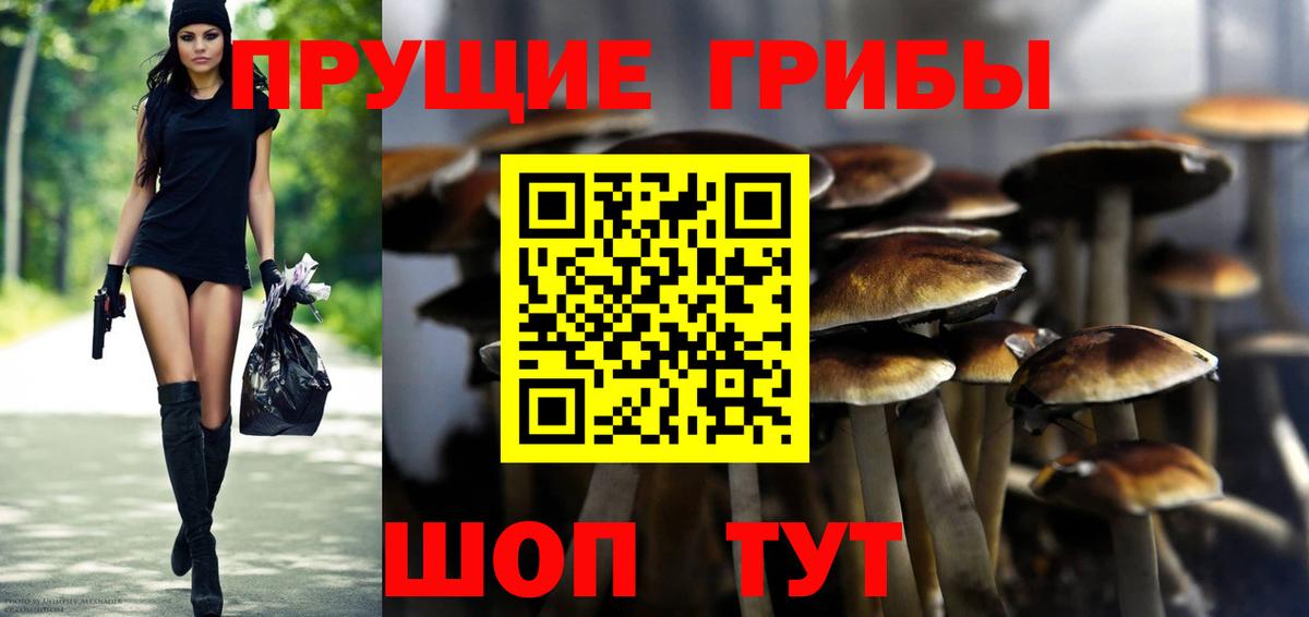 Димитровград  Галлюциногенные грибы ЛСД  Вход с VPN  Галлюциногенные грибы прущие грибы 